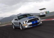 Shelby Cobra GT500 Show Car